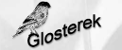 sklep.glosterek.pl